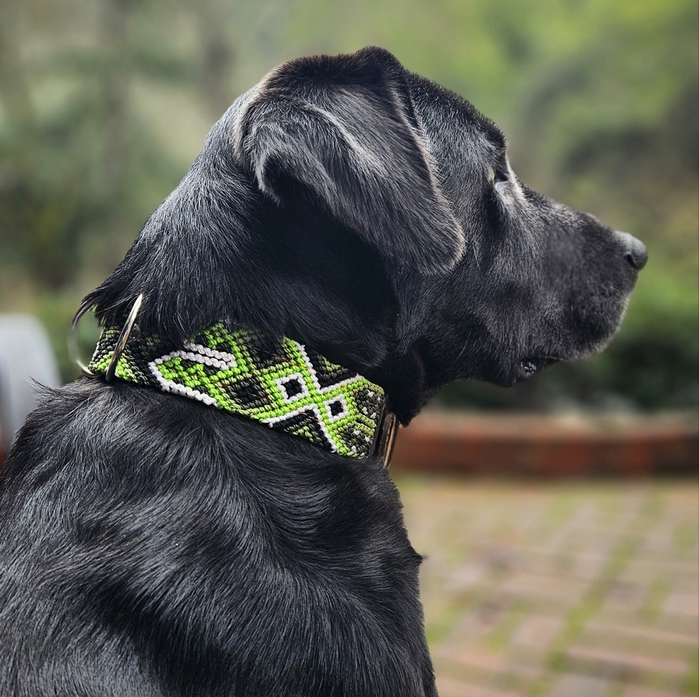 Precious dog-cat collars and leashes hand-woven